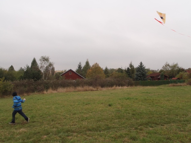 PA183678